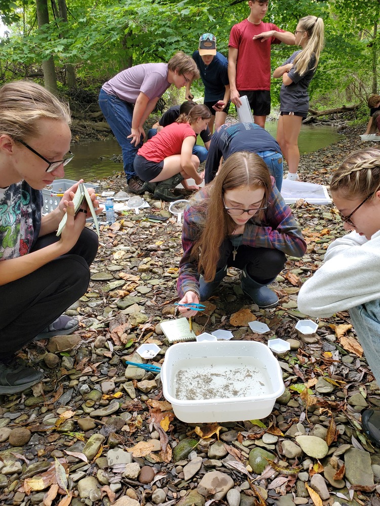 Students in Mrs. Jenna Linsey’s local outdoor sciences elective are pictured analyzing water samples they collected from Baker Brook, which runs along the southwest boundary of the middle and high school campus. 