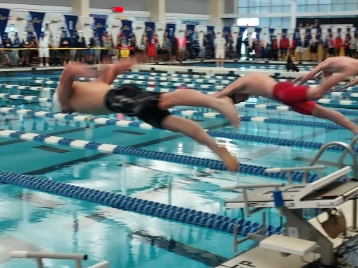 Joe Parkhurst competes in the 50-yard freestyle finals at the New York State Swimming and Diving Championships at Ithaca College.