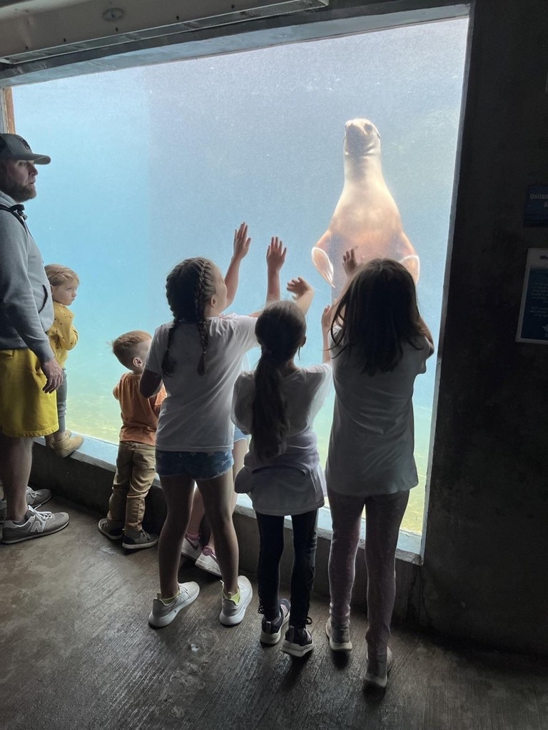 Second grade students are pictured during a field trip to the Buffalo Zoo last month 