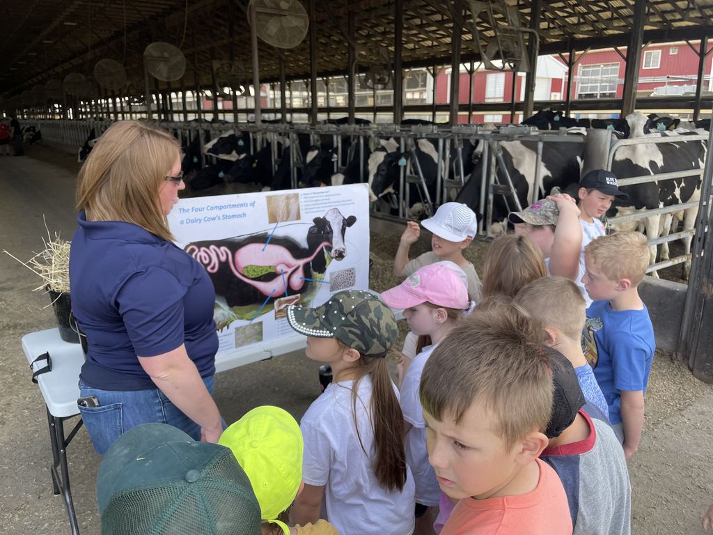 Second grade students are pictured during a field trip to Lamb Farms in Oakfield last week.