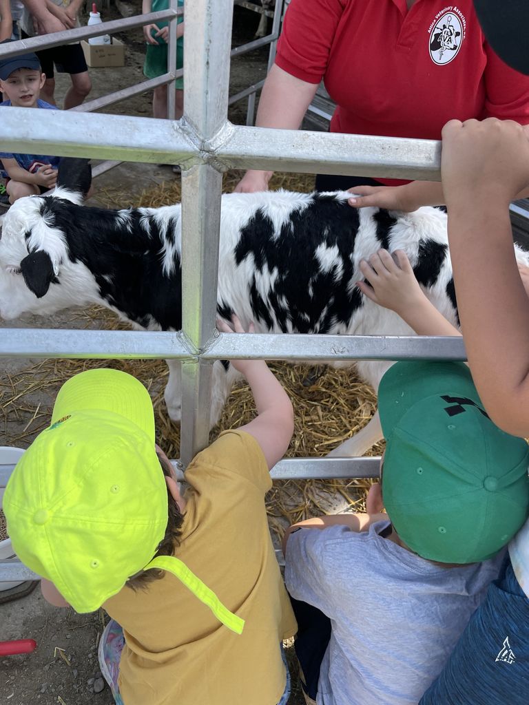 Second grade students are pictured during a field trip to Lamb Farms in Oakfield last week. 